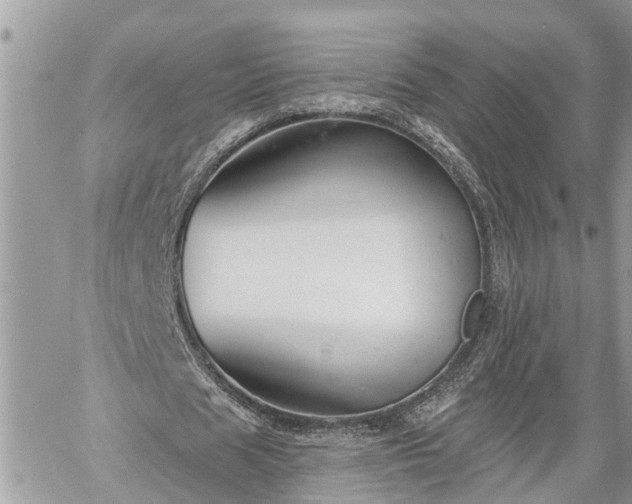 X0000060240625200510311523