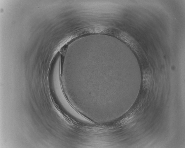 X0000060240626200510311523