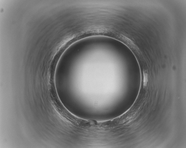 X0000060240627200510311523