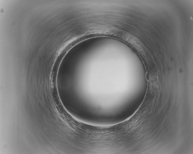 X0000060240628200510311523