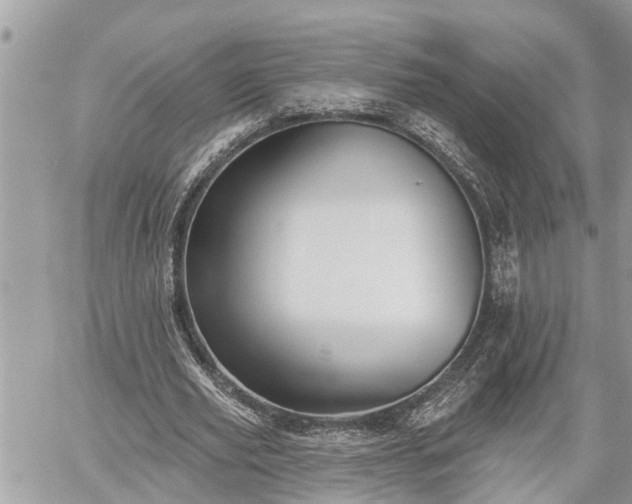 X0000060240629200510311523