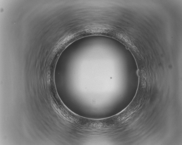 X0000060240631200510311523