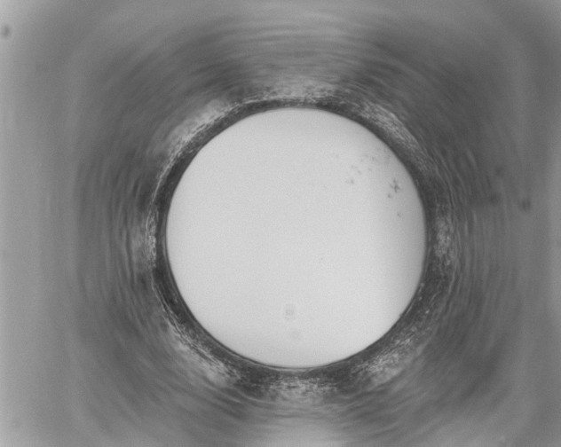 X0000060240632200510311523