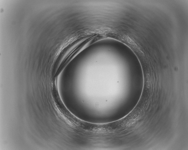 X0000060240634200510311523