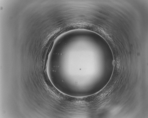 X0000060240637200510311523