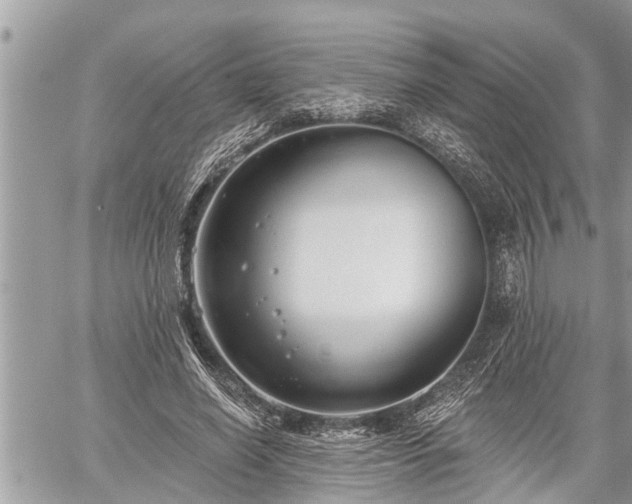 X0000060240638200510311523