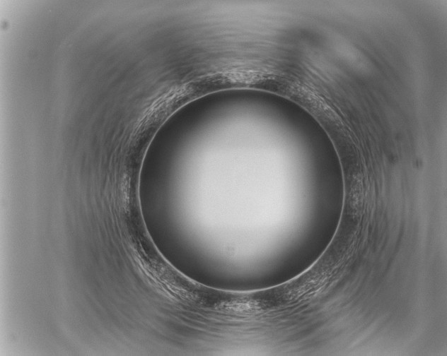 X0000060240639200510311523