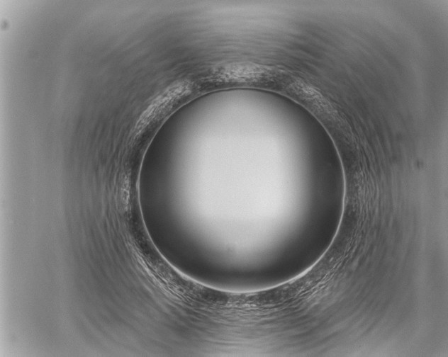 X0000060240640200510311523