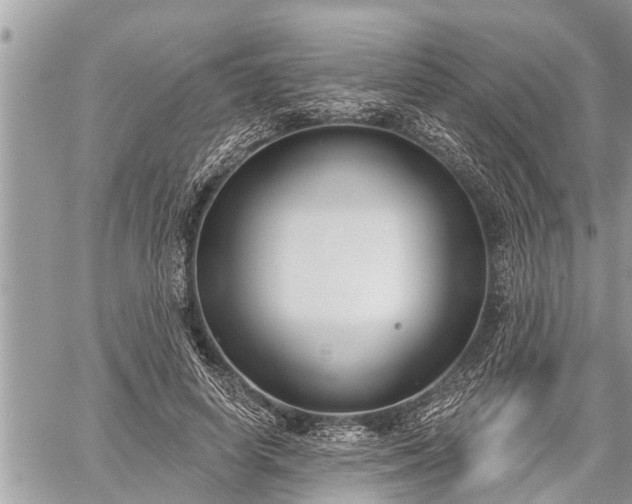 X0000060240642200510311523