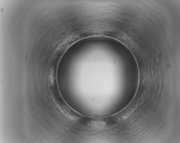 X0000060240644200510311523