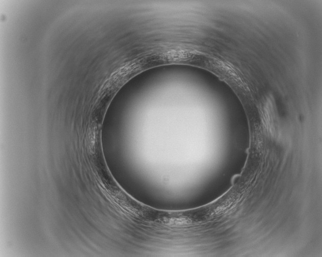 X0000060240645200510311523