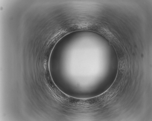 X0000060240648200510311523