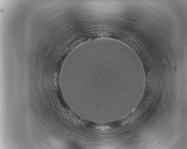 X0000060240650200510311523