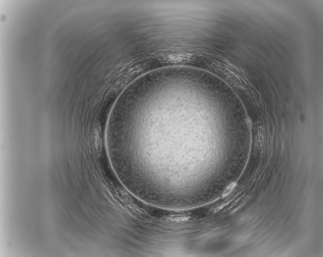 X0000060240651200510311523