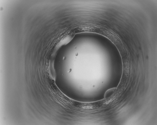 X0000060240653200510311523