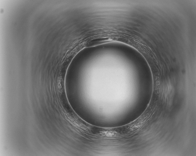 X0000060240654200510311523