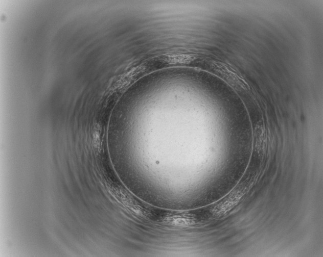 X0000060240655200510311523