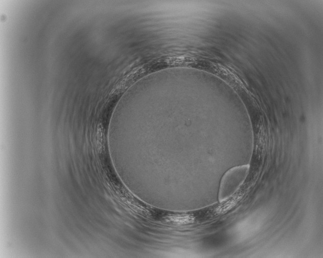 X0000060240659200510311523