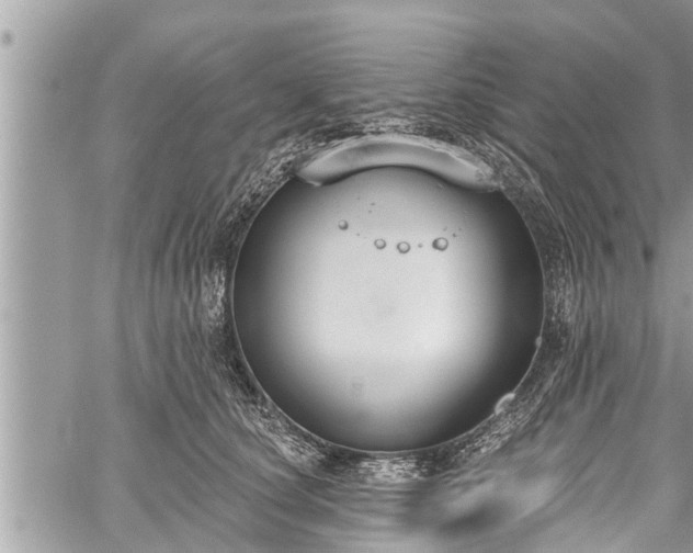 X0000060240660200510311523