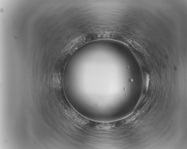 X0000060240661200510311523