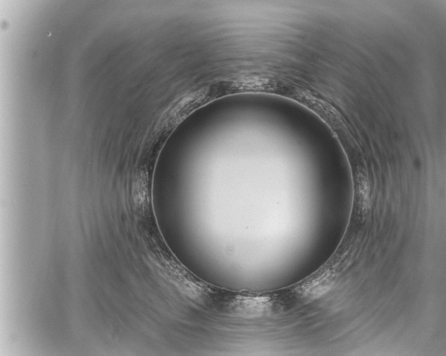 X0000060240665200510311523