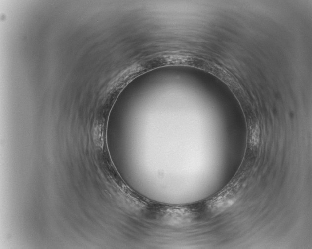 X0000060240666200510311523