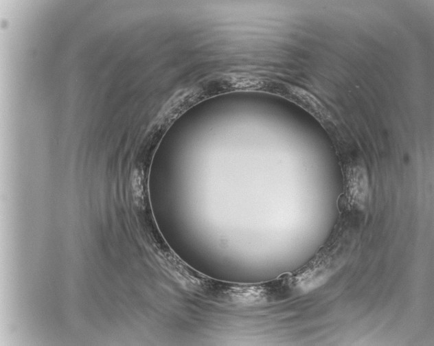 X0000060240667200510311523