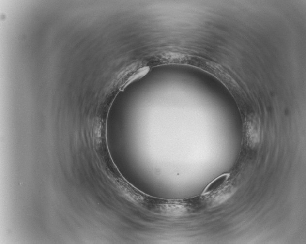 X0000060240668200510311523