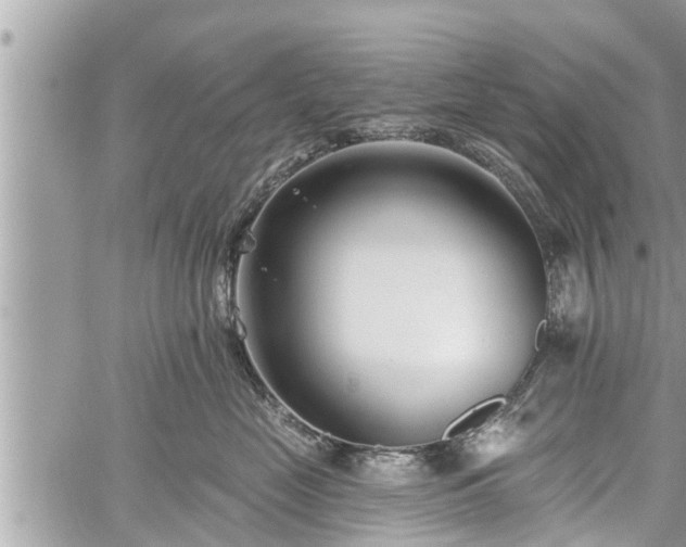 X0000060240669200510311523