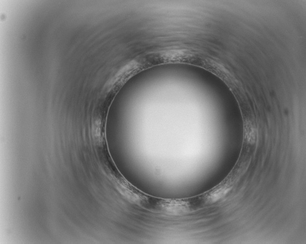 X0000060240670200510311523