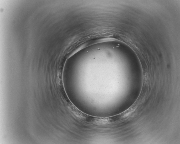 X0000060240671200510311523