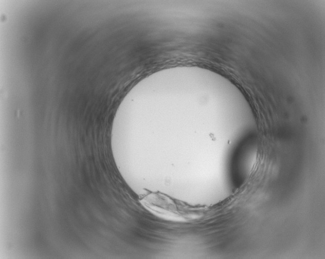 X0000060240672200510311523