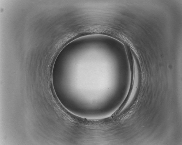 X0000060240673200510311523