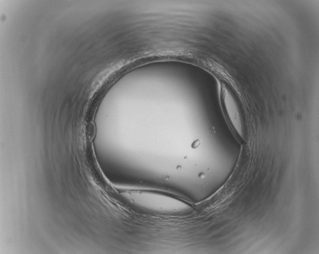 X0000060240676200510311523