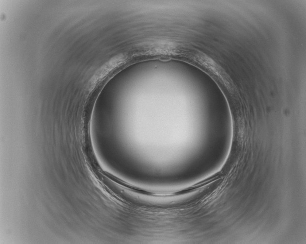 X0000060240677200510311523