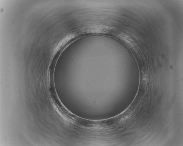 X0000060240678200510311523