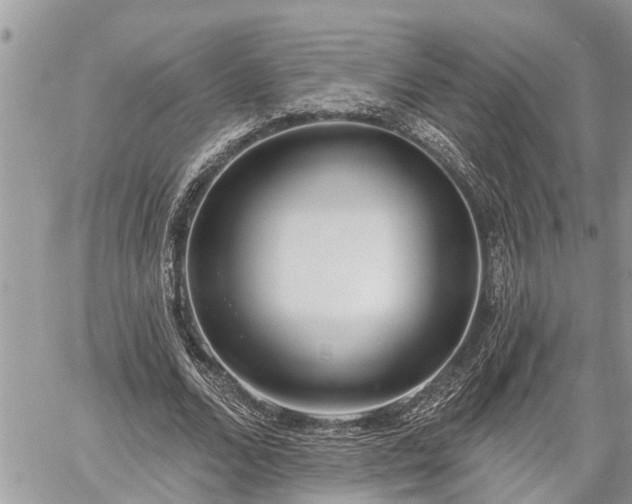 X0000060240680200510311523