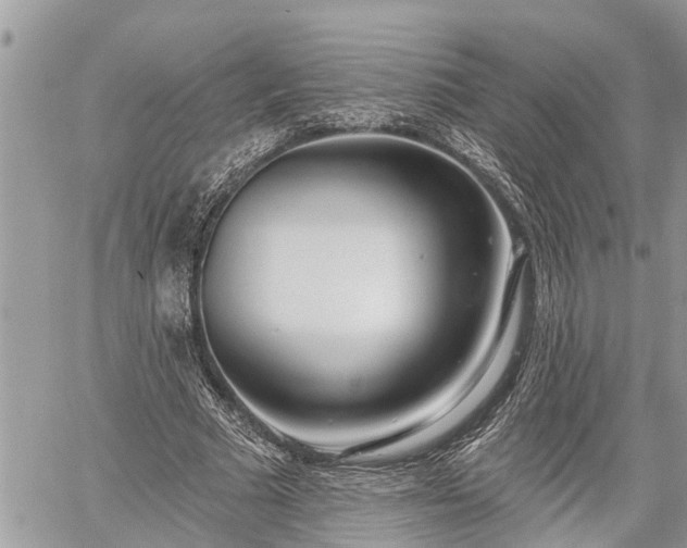 X0000060240681200510311523