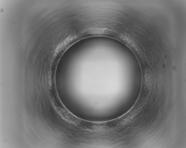 X0000060240682200510311523