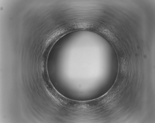 X0000060240683200510311522