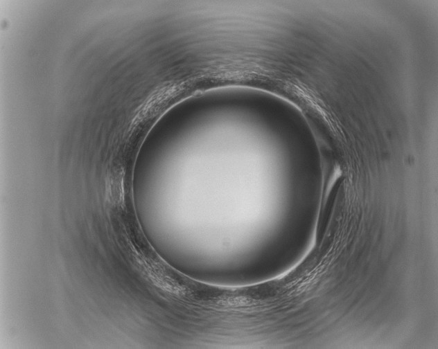 X0000060240685200510311522