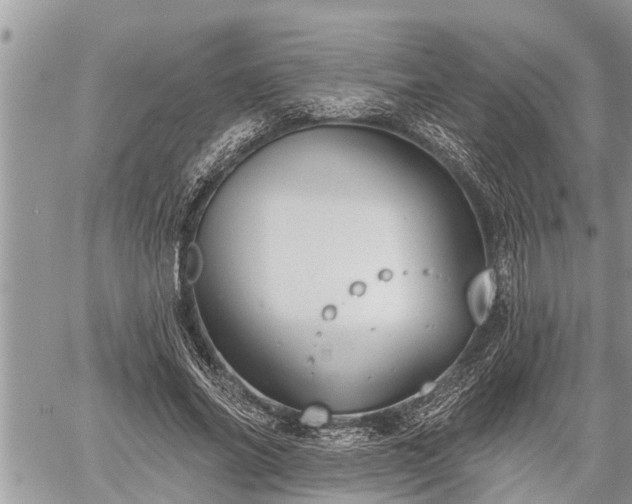 X0000060240686200510311522