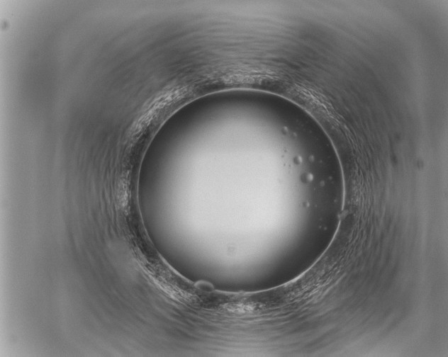 X0000060240687200510311522