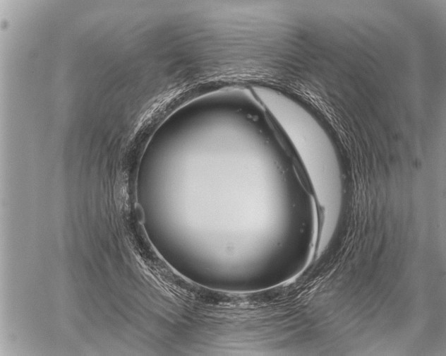 X0000060240688200510311522