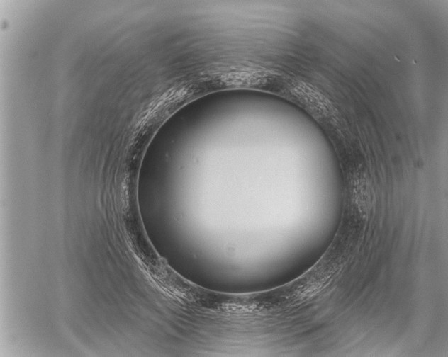 X0000060240690200510311522