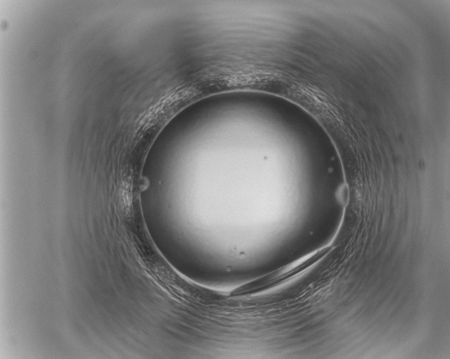 X0000060240691200510311522