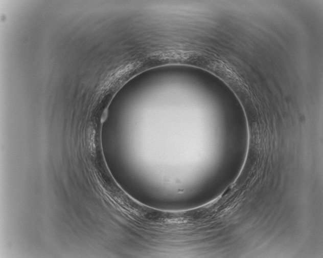 X0000060240692200510311522