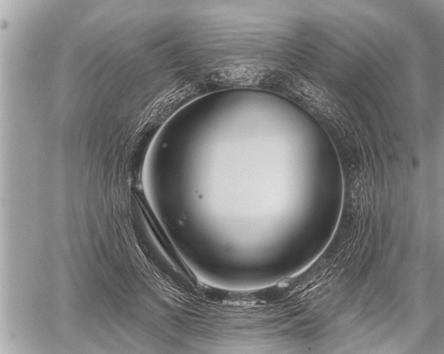 X0000060240693200510311522