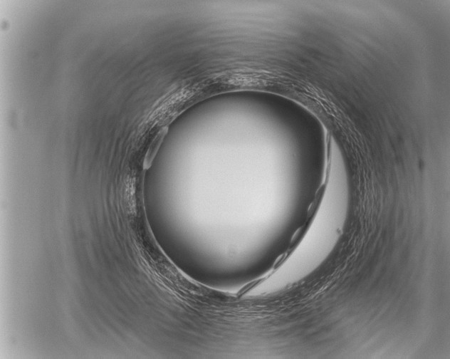 X0000060240696200510311522