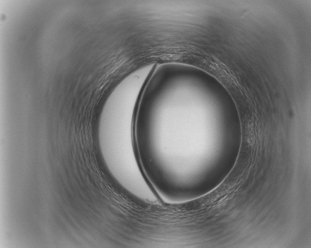 X0000060240697200510311522